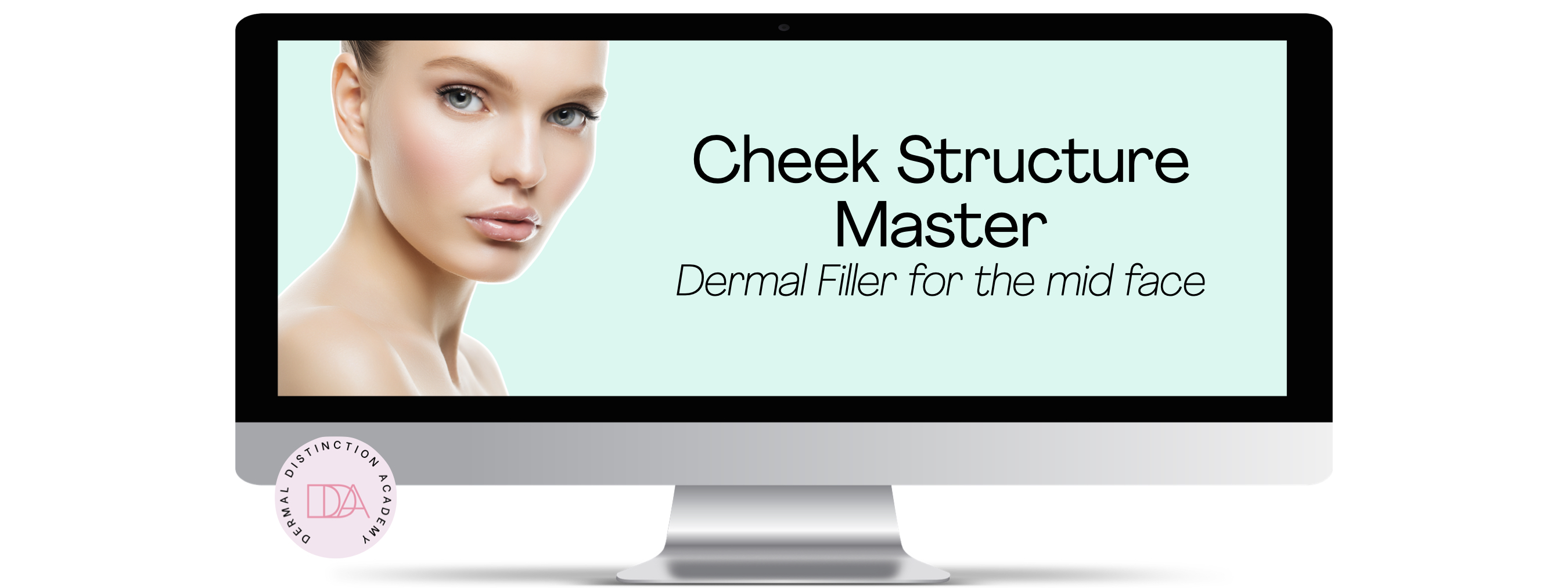 cheek filler course