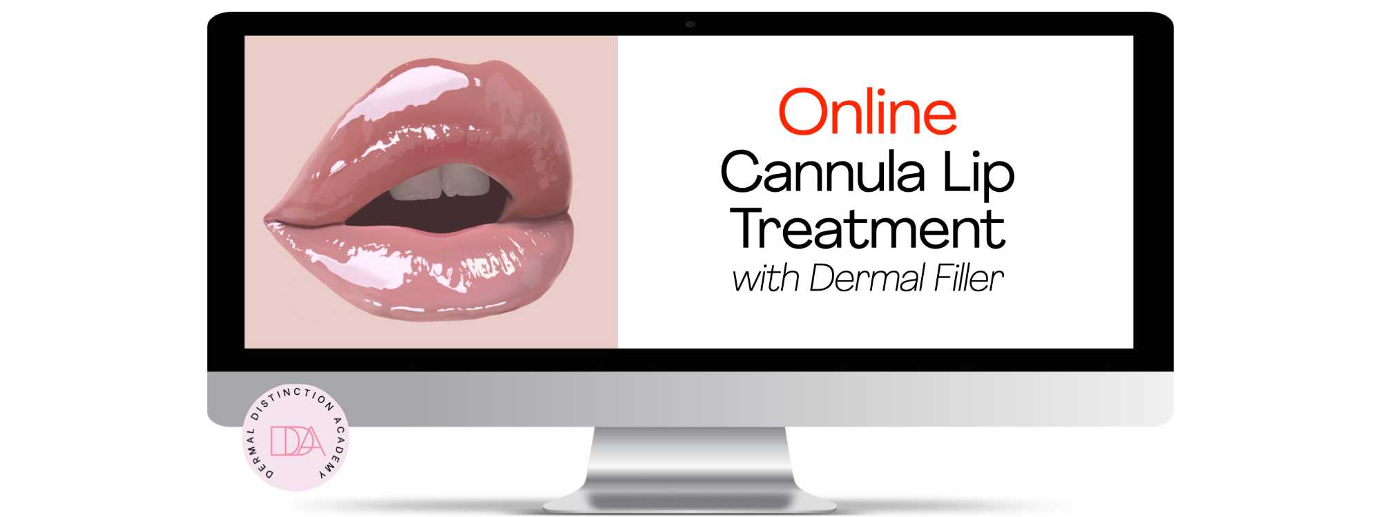 Cannula Lip filler course